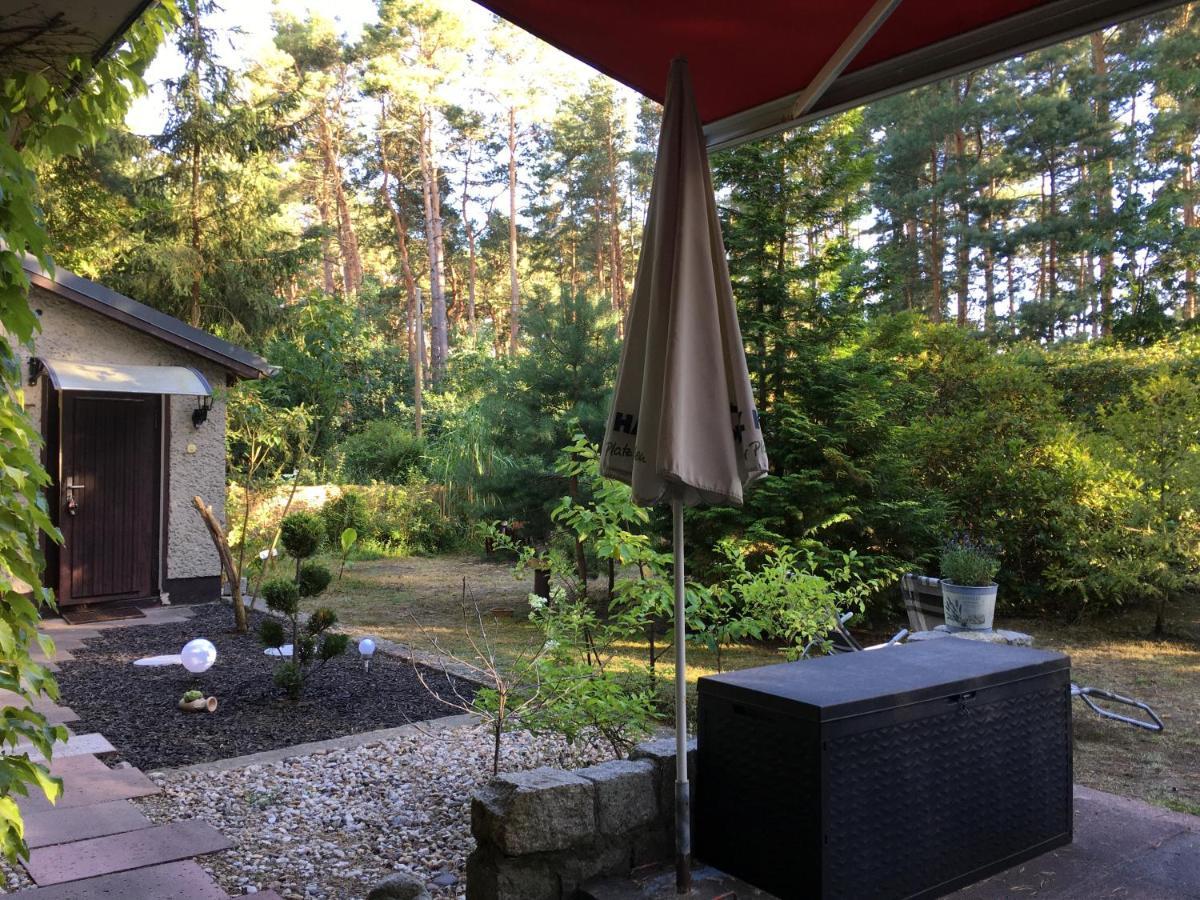 Villa Ferienhaus Wald und Seeidylle nahe Badeseen, Tropical Island, Spreewald Groß Köris Exterior foto