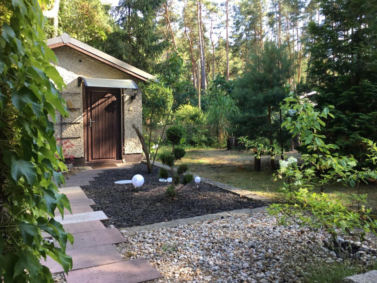 Villa Ferienhaus Wald und Seeidylle nahe Badeseen, Tropical Island, Spreewald Groß Köris Exterior foto